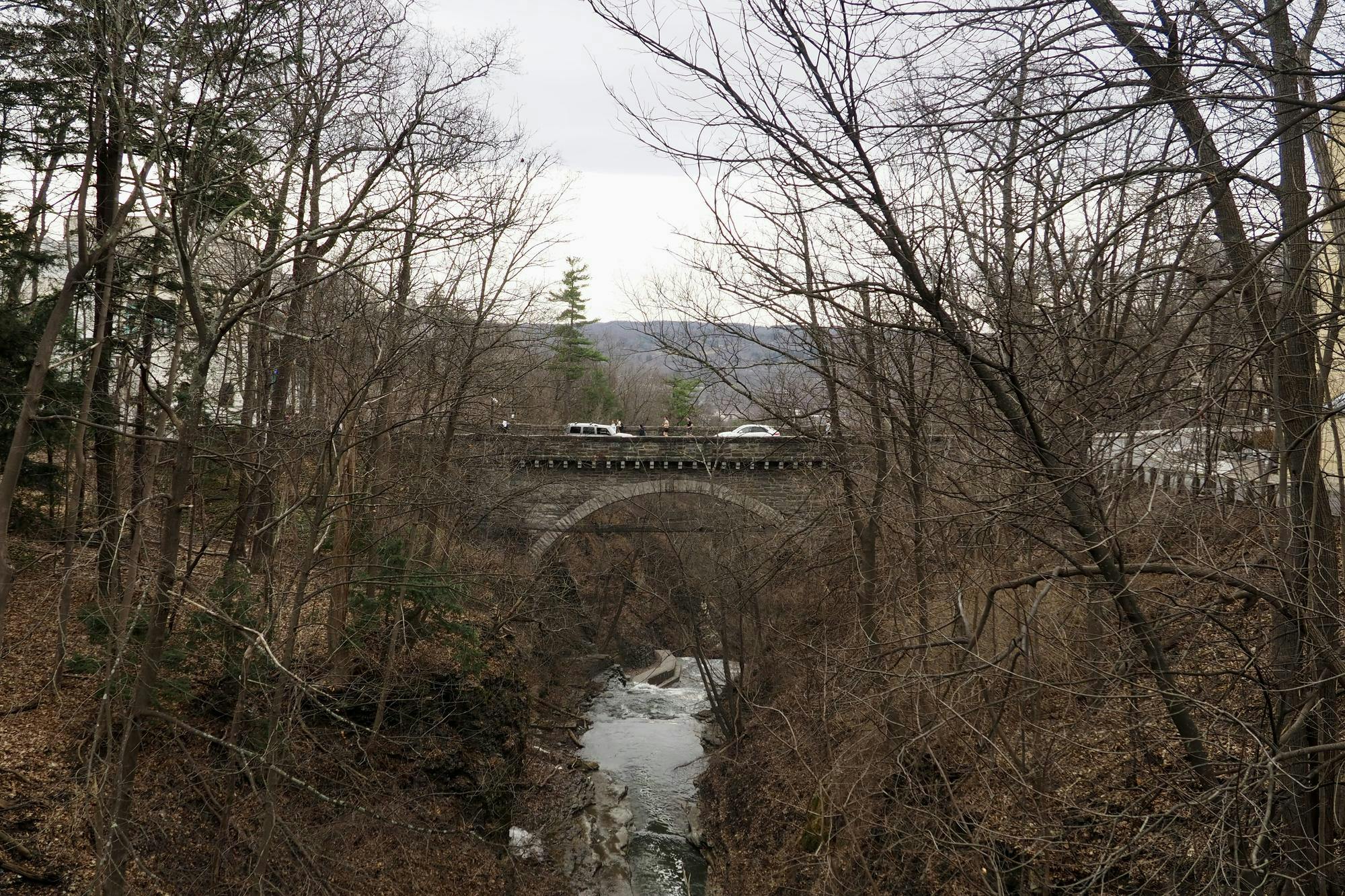 IMG_7543.jpg